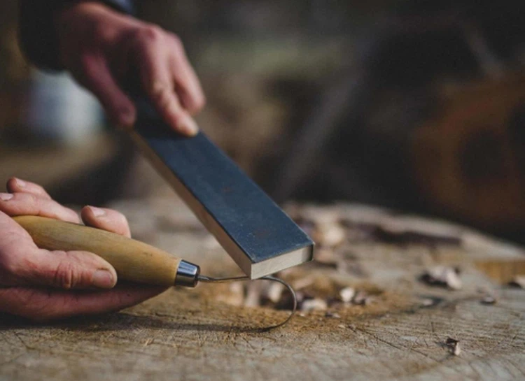 news-493-358 news-493-358